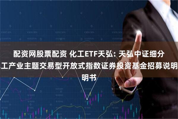 配资网股票配资 化工ETF天弘: 天弘中证细分化工产业主题交易型开放式指数证券投资基金招募说明书